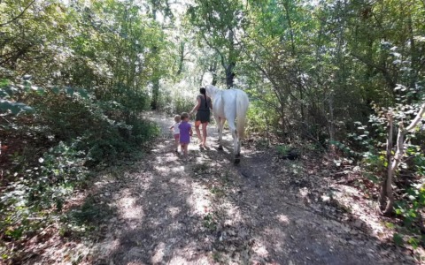 Famiglia nel bosco: politica e opinione pubblica gridano allo scandalo, ma cosa dicono fatti e sentenza?