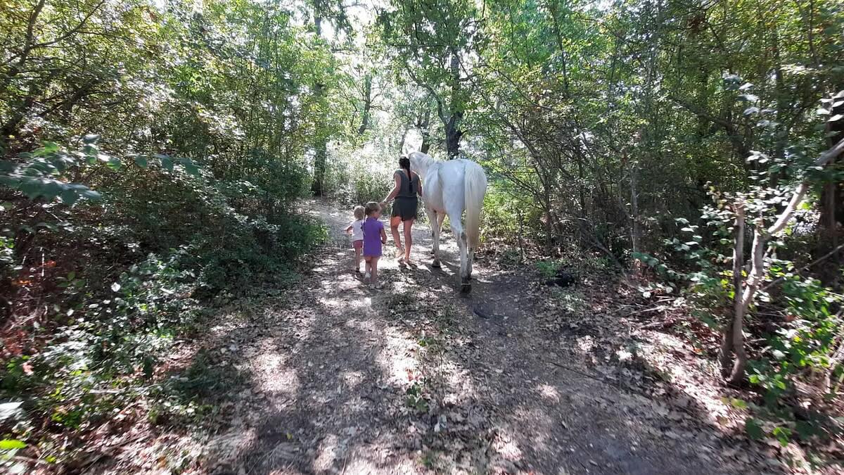 Famiglia nel bosco: politica e opinione pubblica gridano allo scandalo, ma cosa dicono fatti e sentenza?