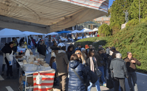 Cosa fare in Piemonte nel weekend: gli eventi di sabato 8 e domenica 9 novembre 2025