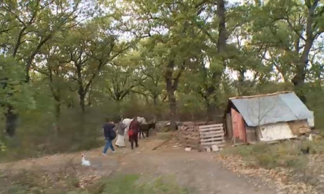Dall’Australia all’Abruzzo, il caso della “Famiglia nel bosco” a cui sono stati tolti i figli