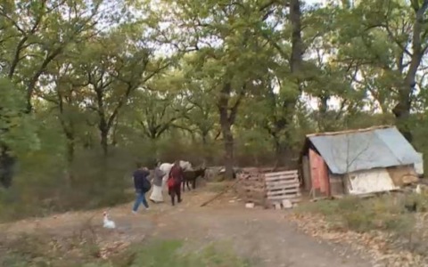 Dall’Australia all’Abruzzo, il caso della “Famiglia nel bosco” a cui sono stati tolti i figli