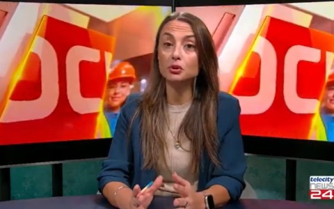 Focus del giorno: Linda Cittadini sugli alberi in città