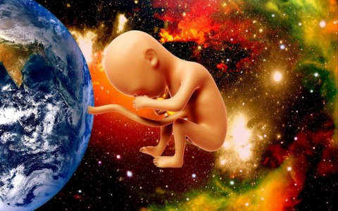 Meritocrazia Italia e l’importanza della “placenta sociale”