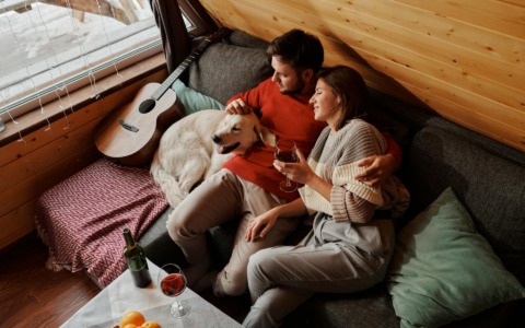 Censimento Istat: sempre meno uomini e bambini, boom di cani e gatti per le coppie senza figli