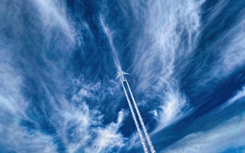 Le 10 compagnie aeree dove si è mangiato meglio nel 2025