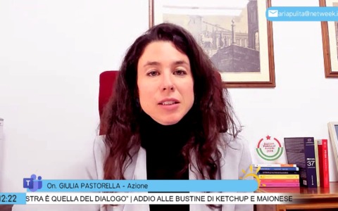 Pastorella (Azione): “Mercosur: in Parlamento europeo ha vinto una minoranza rumorosa”