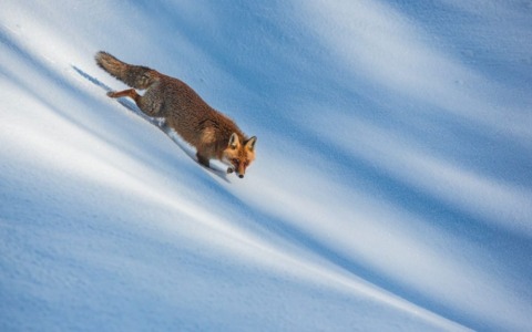 Torna la mostra “Il paese della biodiversità. Il patrimonio naturale italiano”
