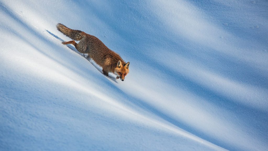 Torna la mostra “Il paese della biodiversità. Il patrimonio naturale italiano”