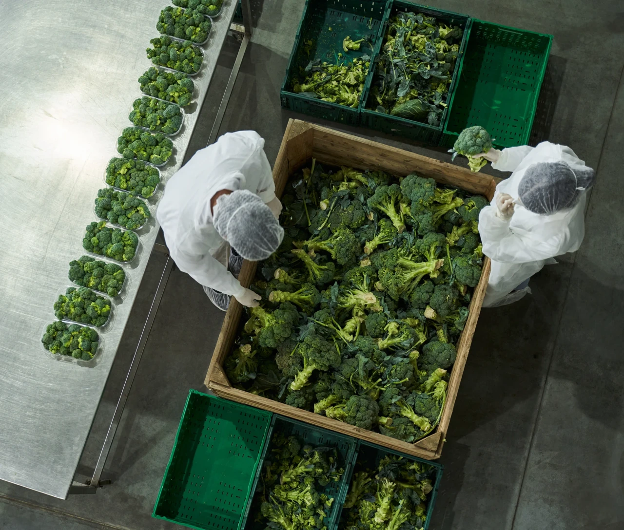 Cooperative Agricole ed Adeguati Assetti (art. 2086 c.c. e art. 3 CCII.): il modello operativo ideato dal dr. Di Pinto