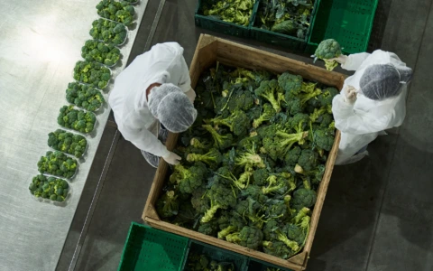 Cooperative Agricole ed Adeguati Assetti (art. 2086 c.c. e art. 3 CCII.): il modello operativo ideato dal dr. Di Pinto