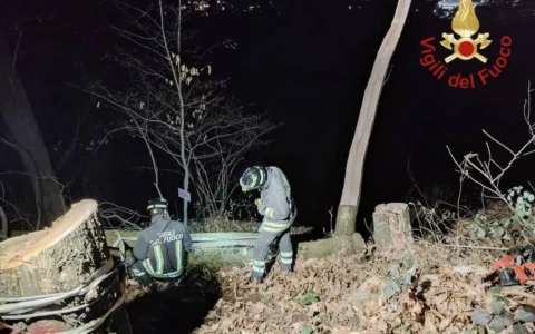 Schiacciato e ucciso da un albero mentre pota le piante