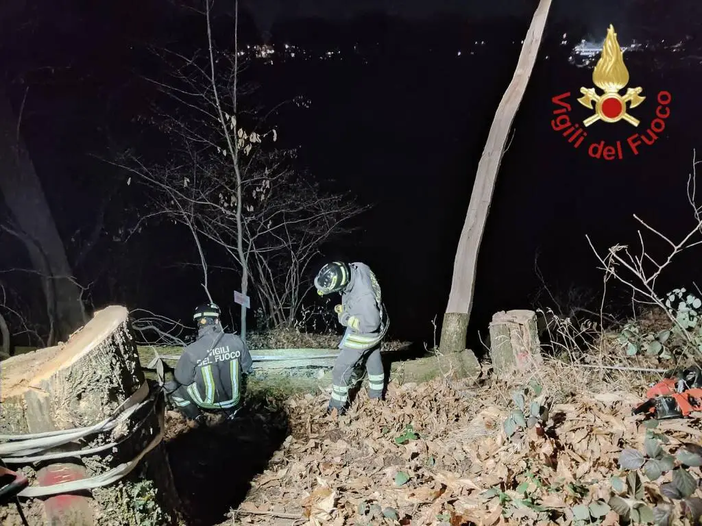 Schiacciato e ucciso da un albero mentre pota le piante