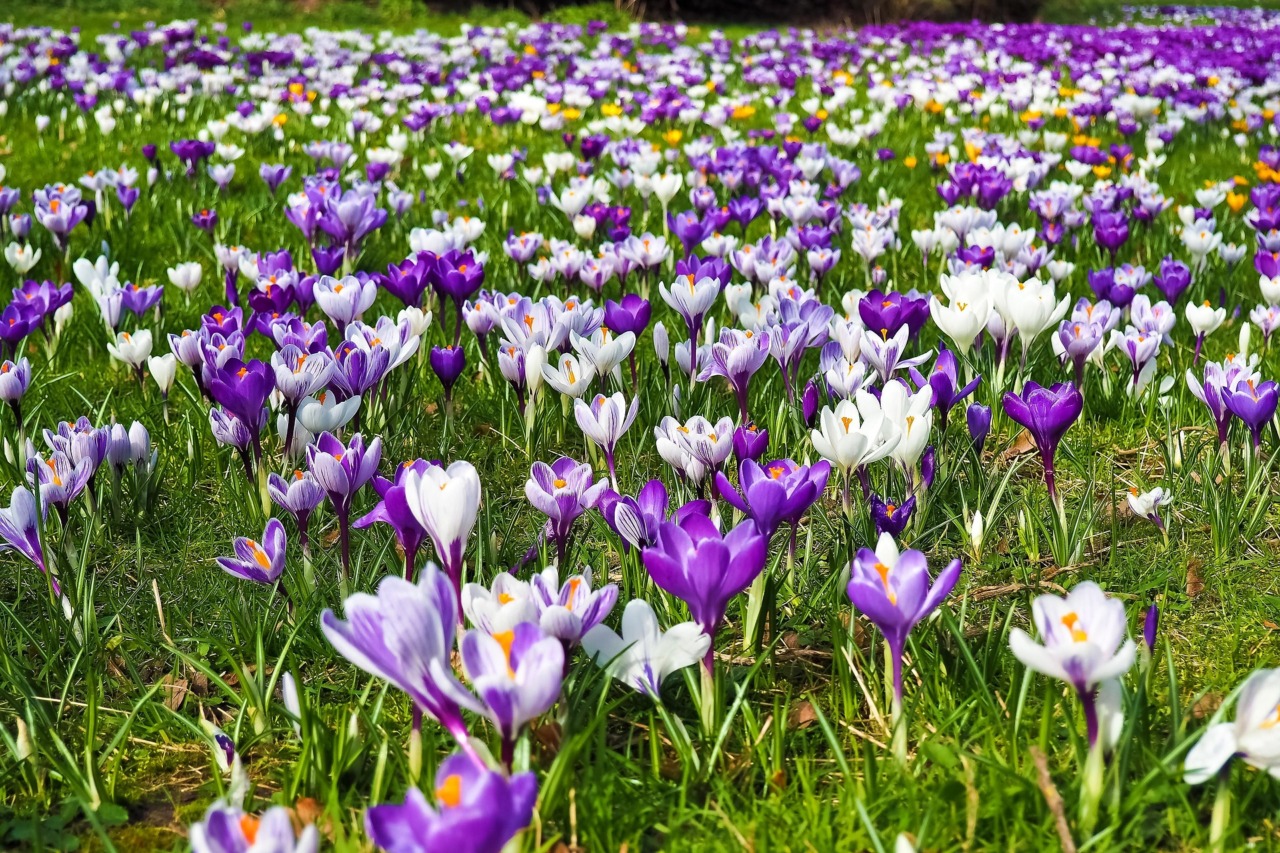 Cambio di stagione: come preparare il corpo e la mente all’arrivo della primavera