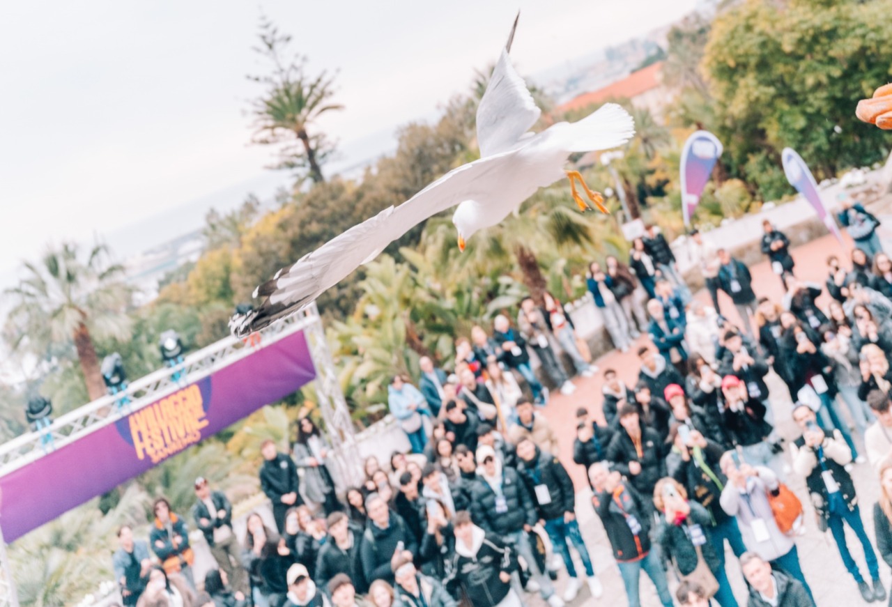 Al Villaggio del Festival liberato un gabbiano curato da Enpa