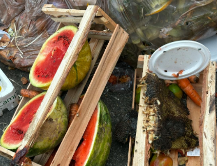 Boomers più virtuosi dei giovani: l'Italia "meno sprecona" ma ancora lontana dall'obiettivo ONU