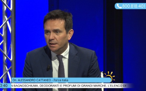 Cattaneo (FI): “Torino: siamo di fronte a delinquenza vera e organizzata, no esitazioni.