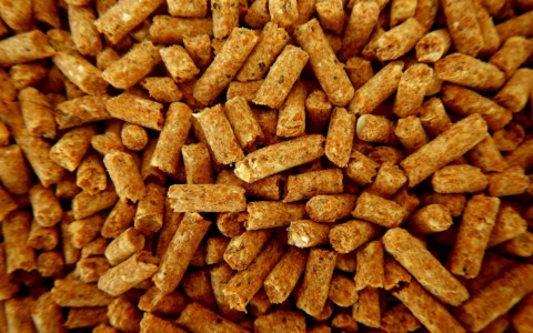 Impianti a biomassa: il calore sostenibile che guarda al futuro