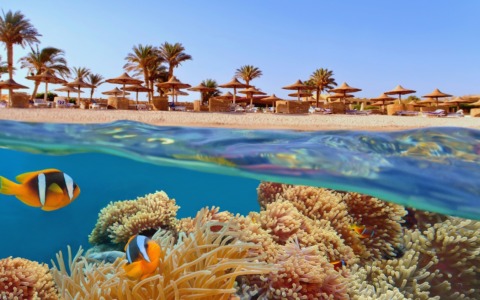 Viaggi di primavera, fra city break e assaggi d’estate