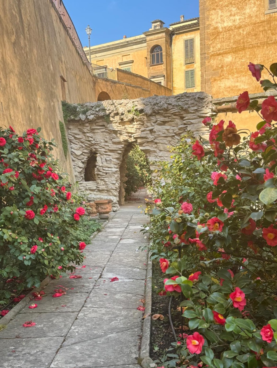 Aperto il Giardino “segreto” delle Camelie a Boboli