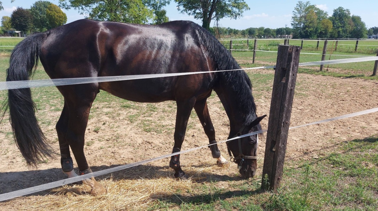 Tre incidenti sul lavoro in meno di 24 ore tra le corsie logistiche, un allevamento e un cantiere edile