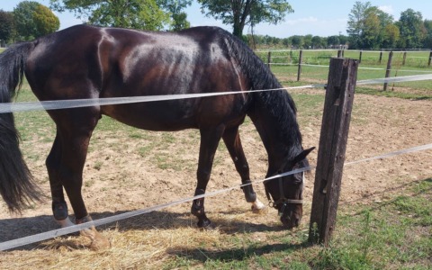Tre incidenti sul lavoro in meno di 24 ore tra le corsie logistiche, un allevamento e un cantiere edile