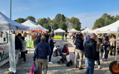 Cosa fare in Lombardia nel weekend: gli eventi di sabato 14 e domenica 15 marzo 2026