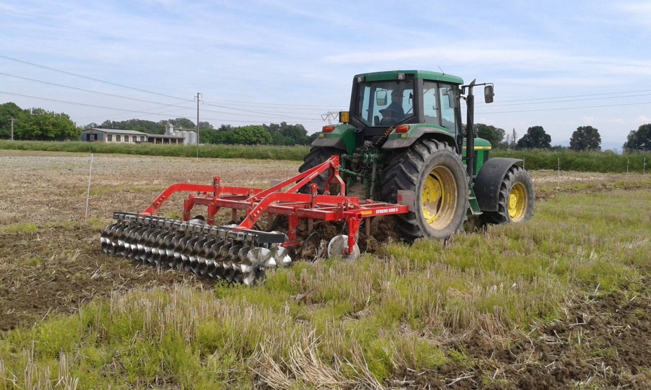 Sostegno storico per i risicoltori: Acea concede 370,11 euro ad ettaro per l’aiuto accoppiato