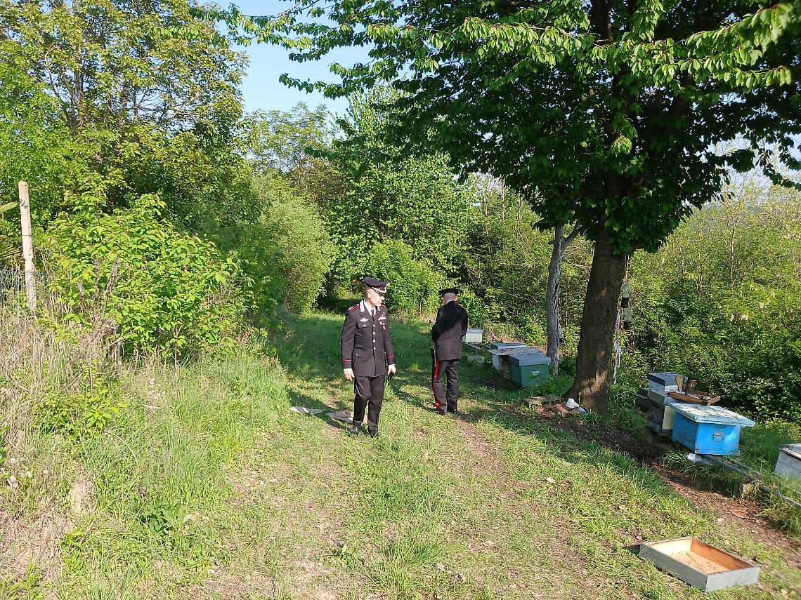 Femminicidi: uccide la ex e il suo nuovo compagno, poi si toglie la vita