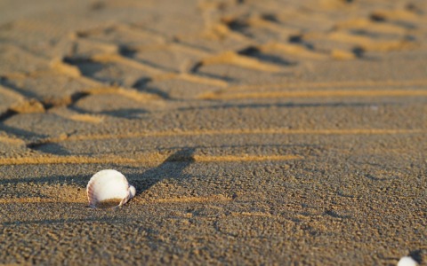 5 località balneari perfette per le vacanze estive a pochi passi da Venezia