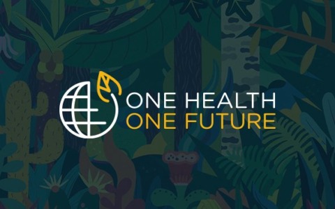 Biodiversità come motore di sviluppo: il National Biodiversity Future Center presenta i risultati a Roma