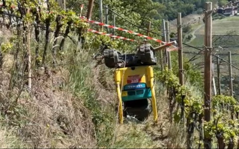Primo Maggio di sangue: tre morti sul lavoro durante la festa dei lavoratori
