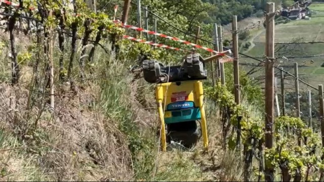 Primo Maggio di sangue: tre morti sul lavoro durante la festa dei lavoratori
