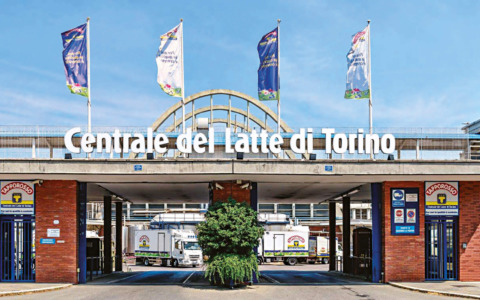 Incidenti sul lavoro: due vittime e quattro feriti tra Piemonte, Emilia, Lazio, Sardegna, Toscana e Molise
