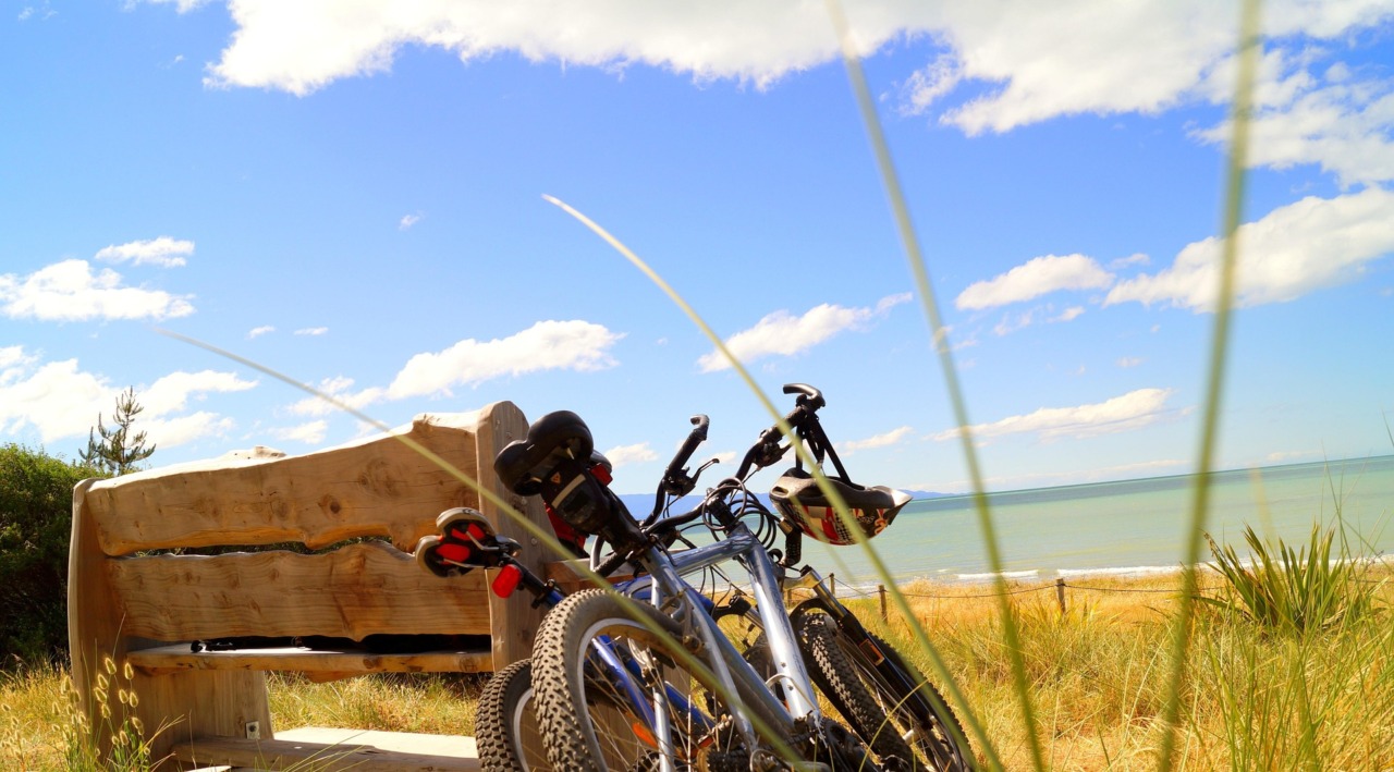 Vacanze in bici: oltre 11 milioni di italiani scelgono le due ruote