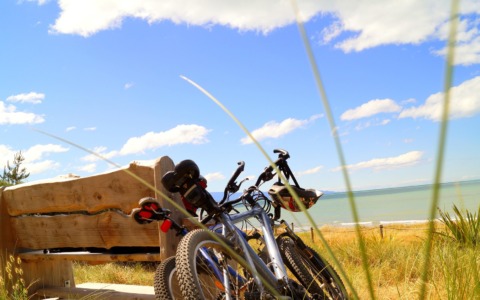 Vacanze in bici: oltre 11 milioni di italiani scelgono le due ruote
