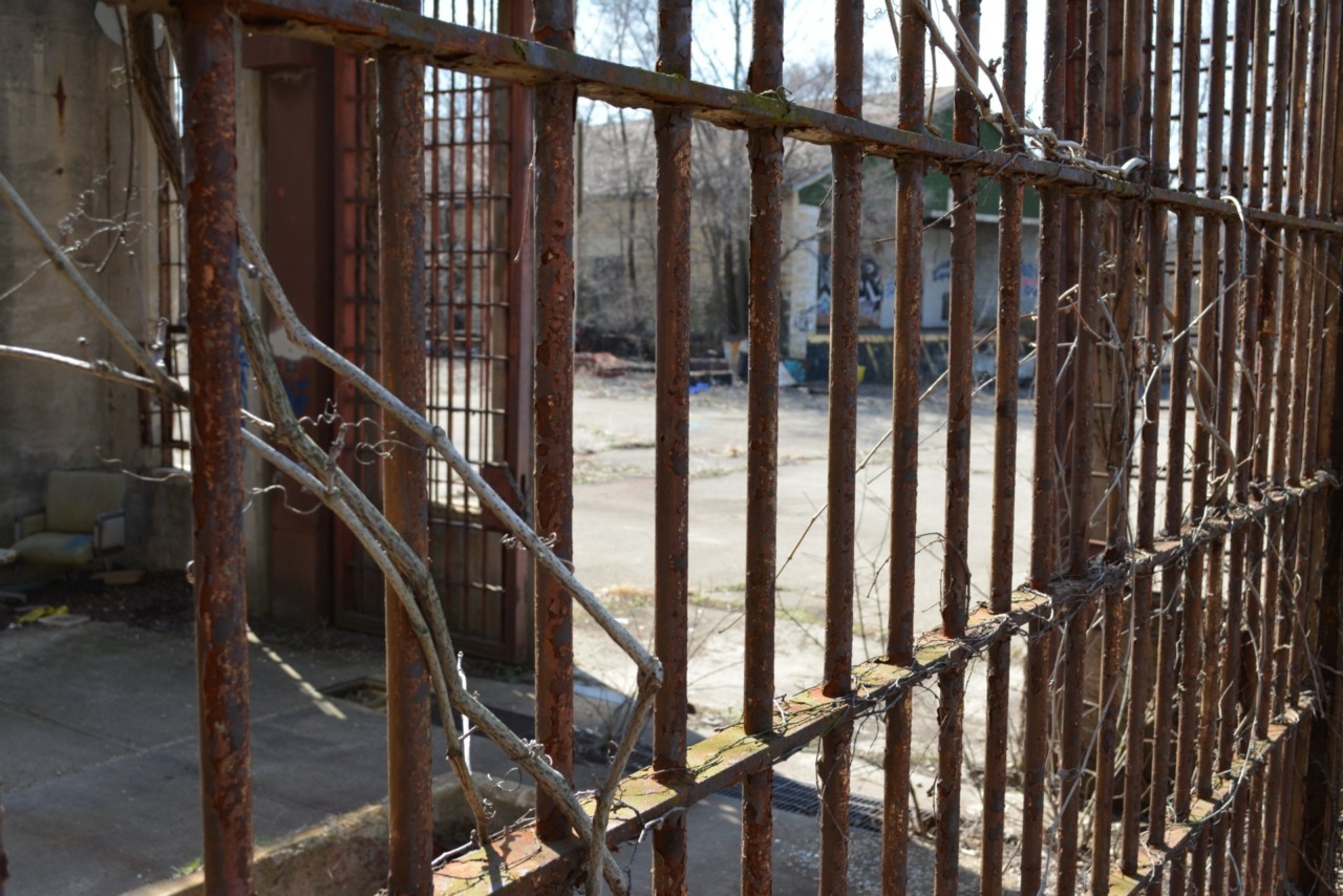 La riforma carceraria di Meritocrazia Italia