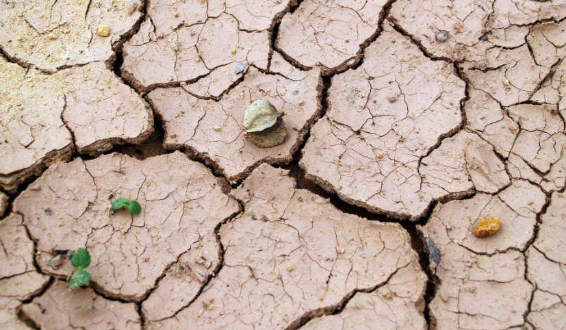 Desertificazione, l’allarme Onu: a rischio oltre il 17% dell’Italia