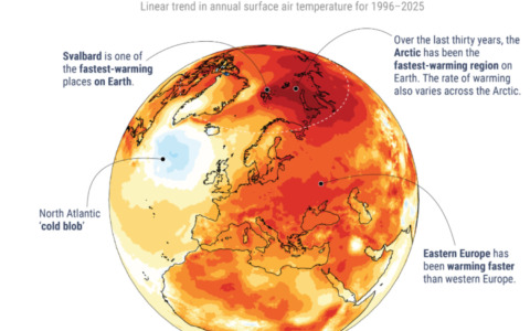 Caldo al picco, l’OMS: “Europa continente che si scalda di più”
