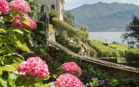 Villa Carlotta: dove arte e natura si incontrano