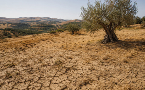 Desertificazione, l’allarme Onu: a rischio oltre il 17% dell’Italia