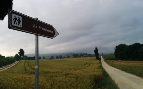 Via Francigena: il cammino che unisce storia, natura e turismo lento