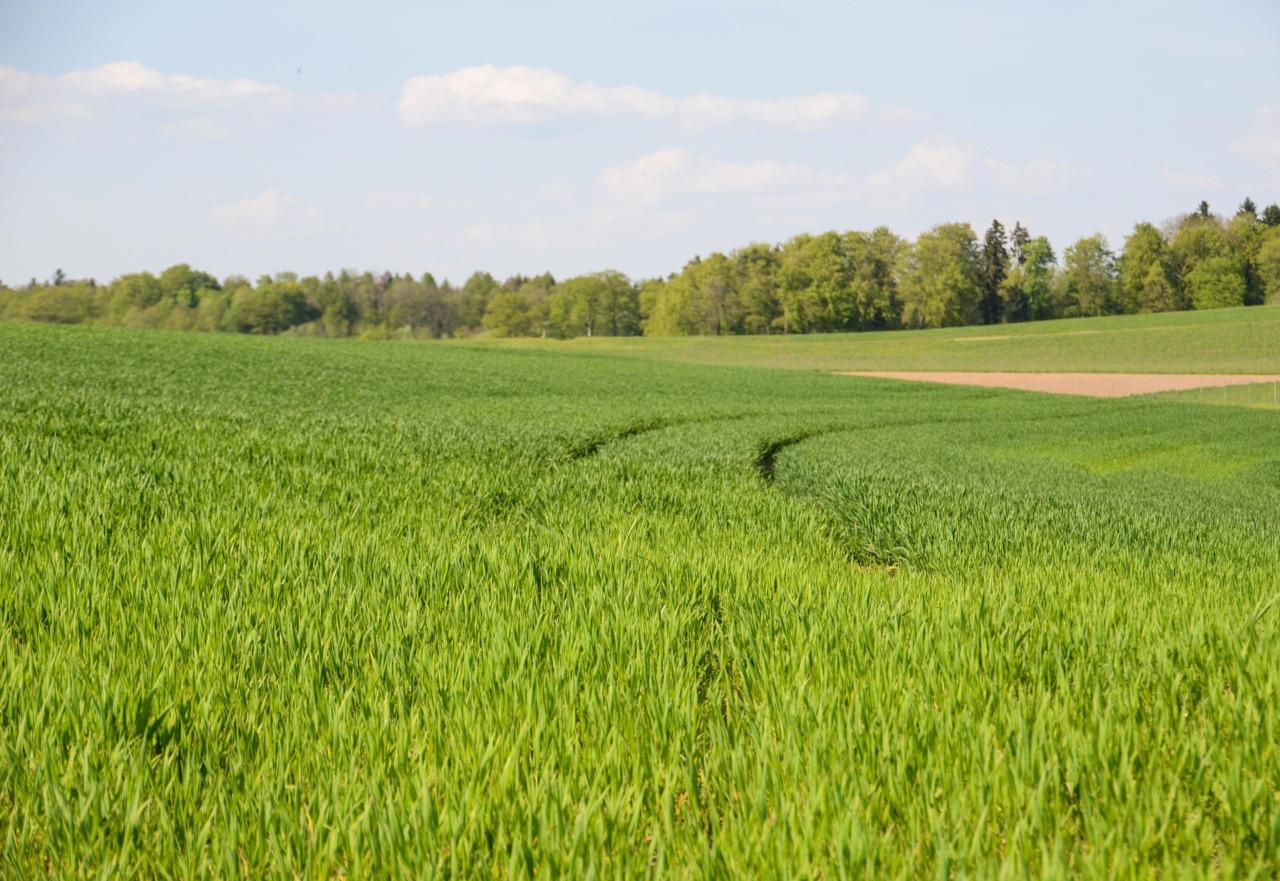 Spighe Verdi 2026: salgono a 97 i Comuni certificati per la sostenibilità