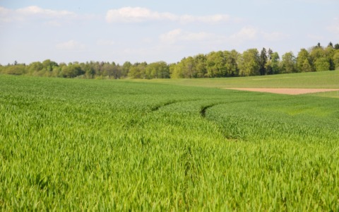Spighe Verdi 2026: salgono a 97 i Comuni certificati per la sostenibilità