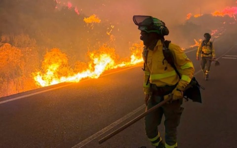 A fuoco i boschi dell’Andalusia, strage in Spagna: almeno 11 morti e decine di dispersi