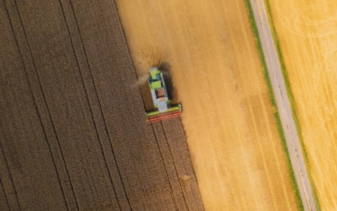 Anticipi PAC: Meritocrazia Italia torna a chiedere misure strutturali per l’efficienza complessiva