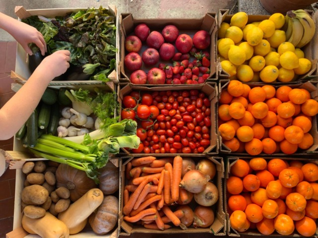 Ciclosporiasi negli Usa, “l’epidemia delle insalate”: occhi puntati sul Michigan