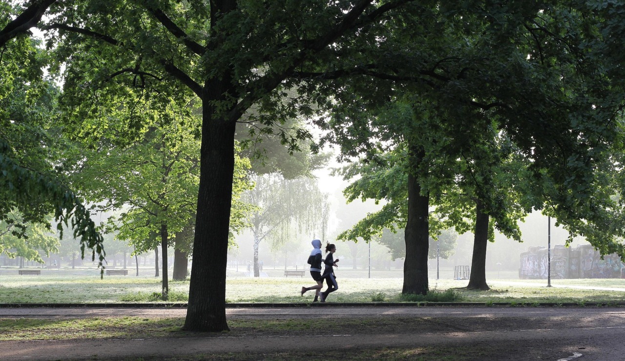 Vacanza e jogging a settembre: le migliori mete italiane per correre tra natura e paesaggi