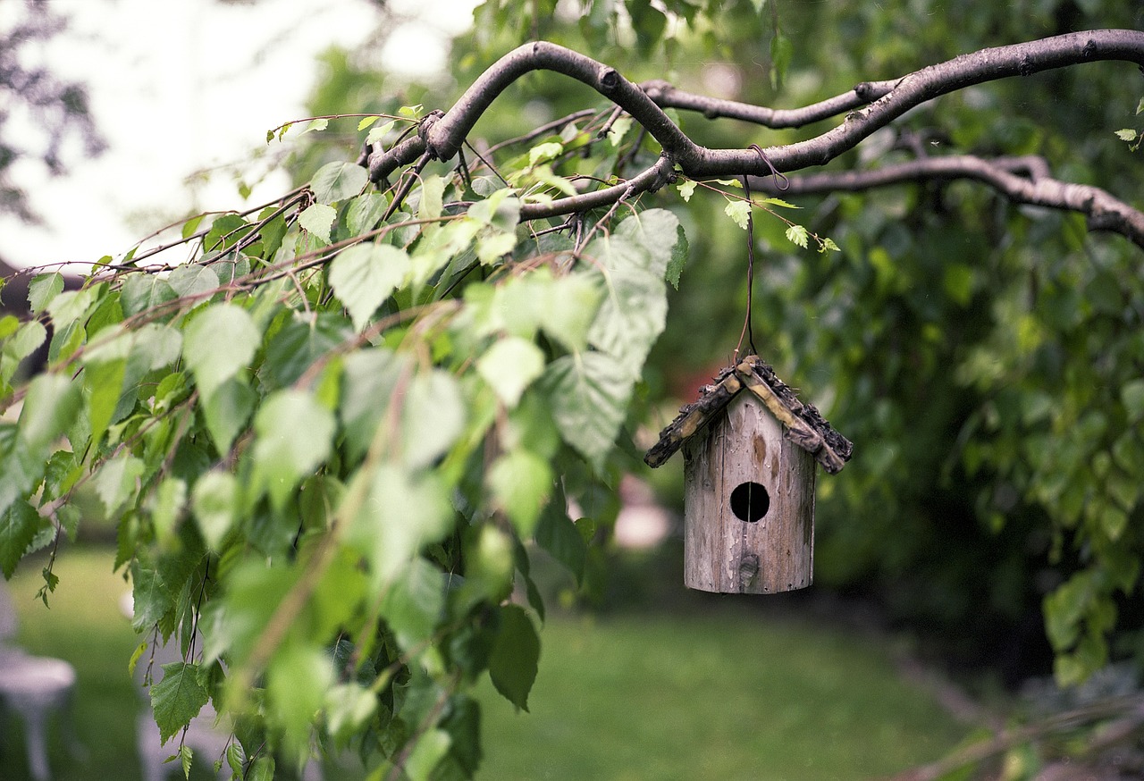 Il giardino del futuro resiste al caldo: come cambia il verde di casa
