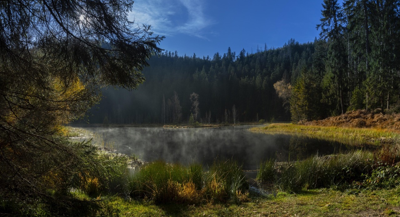 La Foresta Nera conquista l’estate: la Germania diventa una nuova meta per le vacanze