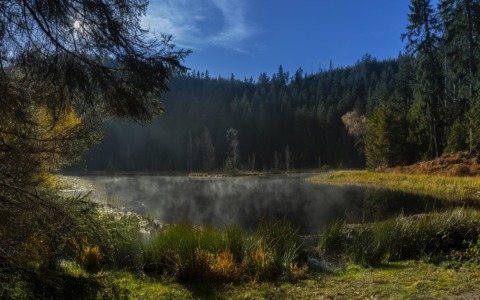 La Foresta Nera conquista l’estate: la Germania diventa una nuova meta per le vacanze